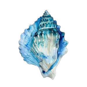 Seashell Watercolor Print Shell Coastal Wall Art Turquoise Beach House Decor Nautical Print Ocean Artwork