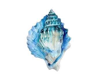 Seashell Watercolor Print Shell Coastal Wall Art Turquoise Beach House Decor Nautical Print Ocean Artwork