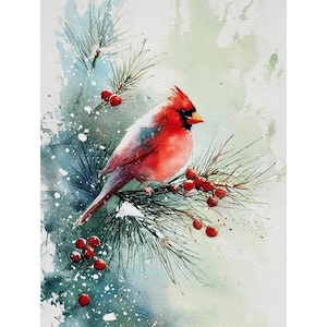 Op de afbeelding: Aquarel schilderij van een felrode kardinaal die op een dennentak met rode bessen zit. De vogel heeft een zwart masker en kuif. De achtergrond heeft zachte groene en blauwe wassingen, wat een winters tafereel suggereert.