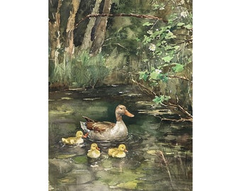 アヒルの絵 池 水彩画 アートプリント 森 湖 壁アート 風景画 緑の森