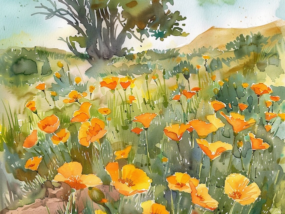 カリフォルニアの絵画 ポピー畑 水彩画 アートプリント 夏の草原
