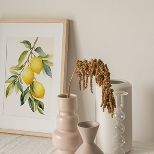 Op de afbeelding: Een ingelijst aquarel schilderij van een citroen tak met drie citroenen die eraan hangen. Het schilderij staat op een witte tafel met drie vazen, een roze, een witte en een heldere glazen vaas met een bruine gedroogde bloemen arrangement.