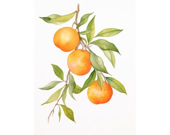 Orange Print Watercolor Fruit Painting Orange Branch Botanical Wall Art Neutral Kitchen Poster