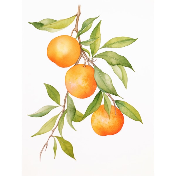 Oranje print aquarel fruit schilderij oranje tak botanische muur kunst neutrale keuken poster