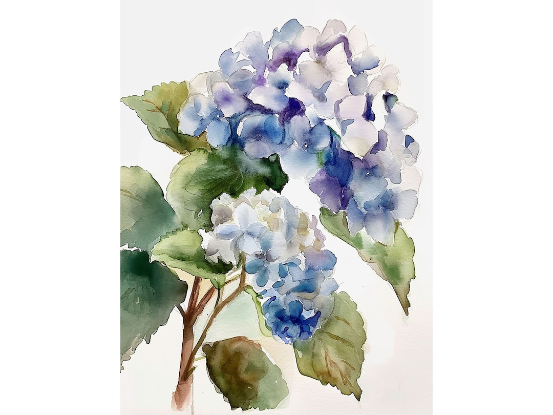 Hydrangea Painting Floral Art Print Floral Watercolor Print Garden