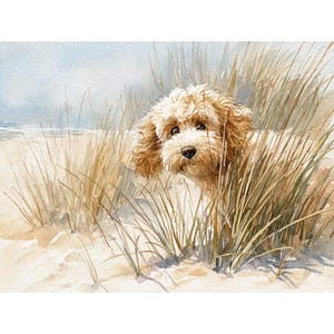 May include: Watercolor painting of a fluffy, light brown dog peeking through tall, dry grass on a sandy beach. The dog has a curious expression, with the ocean and sky visible in the background. The artwork has a soft, natural color palette.