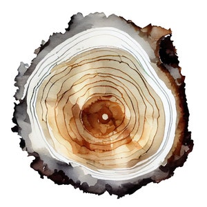 Tree Ring Print Sequoia Woodcut Poster Large Watercolor Art Print Brown Neutral Wall Art Cabin Wall Decor