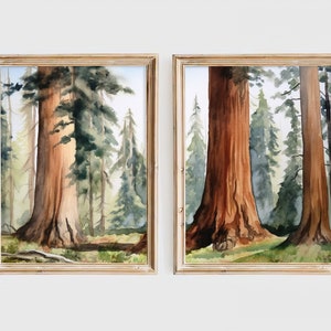 Mammutbäume Drucke Set 2 Aquarell Malerei Kalifornien Wald Landschaft Wald Wand Kunst Evergreen Baum Kunstwerk
