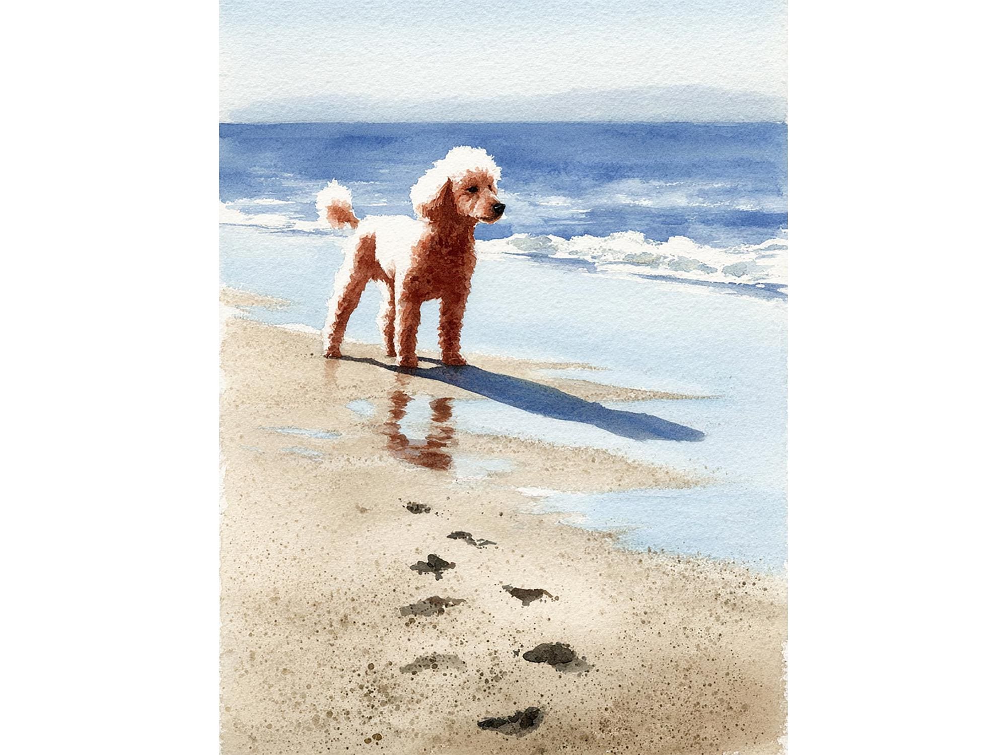 Poodle Beach Watercolor Print on Paper Coastal Dog Portrait Minimalist ...