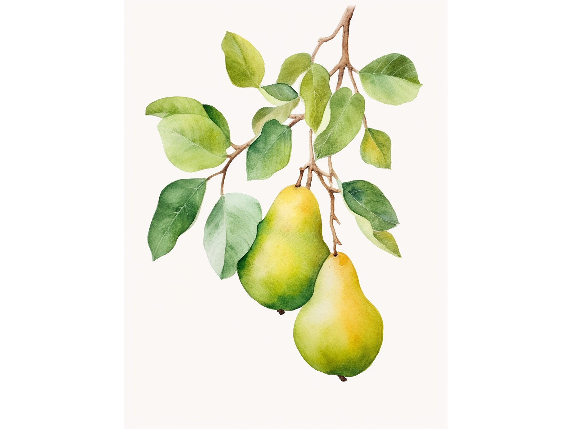 梨の水彩画アートプリント フルーツの絵画 梨の枝 植物の壁アート 2