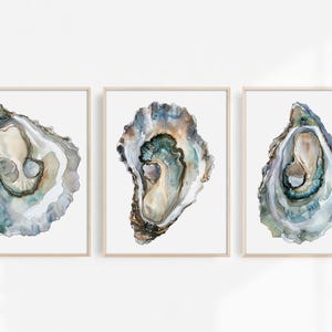 May include: Three watercolor paintings of oyster shells. Each painting features a different oyster shell with a blue, green, and brown color scheme.