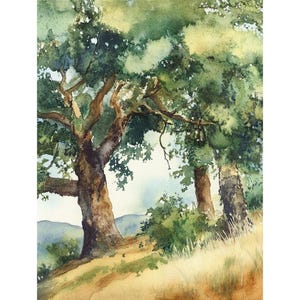 Oak Tree Painting Oakland Watercolor Art Print Oak Forest Wall Art Trees Wall Decor Nature Prints