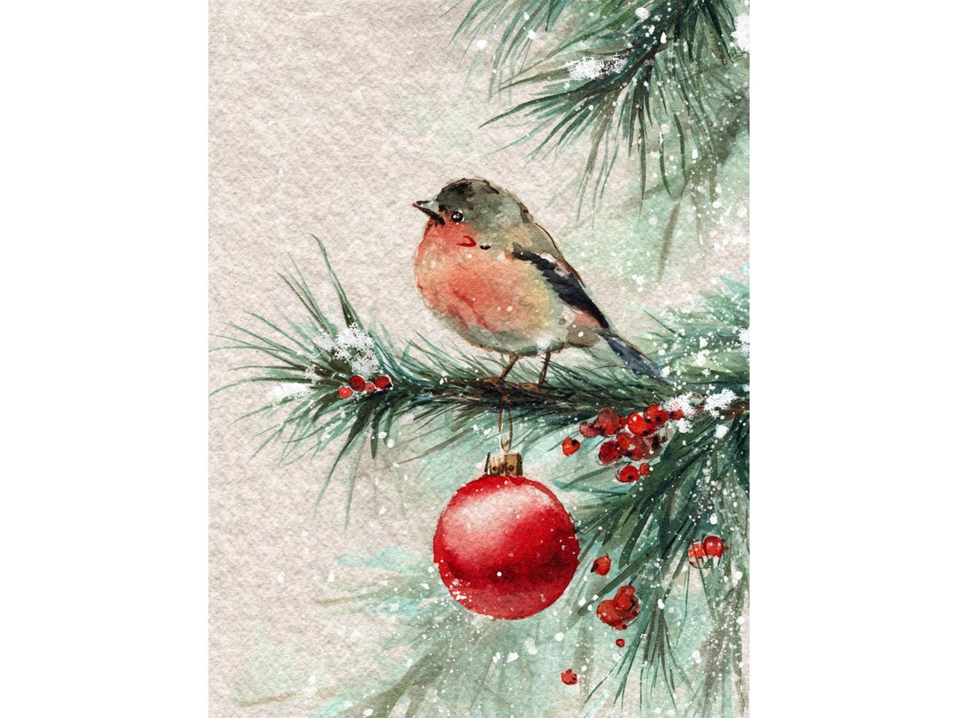 Robin Bird Watercolor Print Christmas Wall Art Winter Pine Painting Red ...
