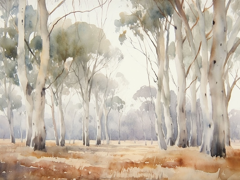 May include: A watercolour painting depicting a forest scene with tall, white trees and a light brown ground. The trees are mostly bare, with a few green leaves at the top. The sky is a light blue, and the sun is shining through the trees.