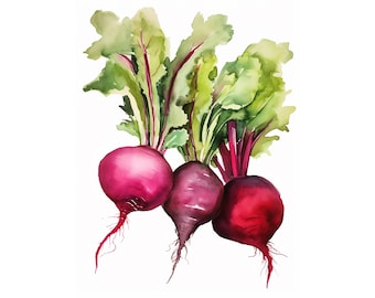 Beet Watercolor Print Vegetables Painting Kitchen Wall Art Modern Farmhouse Decor