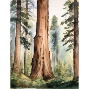 Sequoia Trees Watercolor Painting California Art Print Forest Landscape Wall Art Sequoia National Park Poster