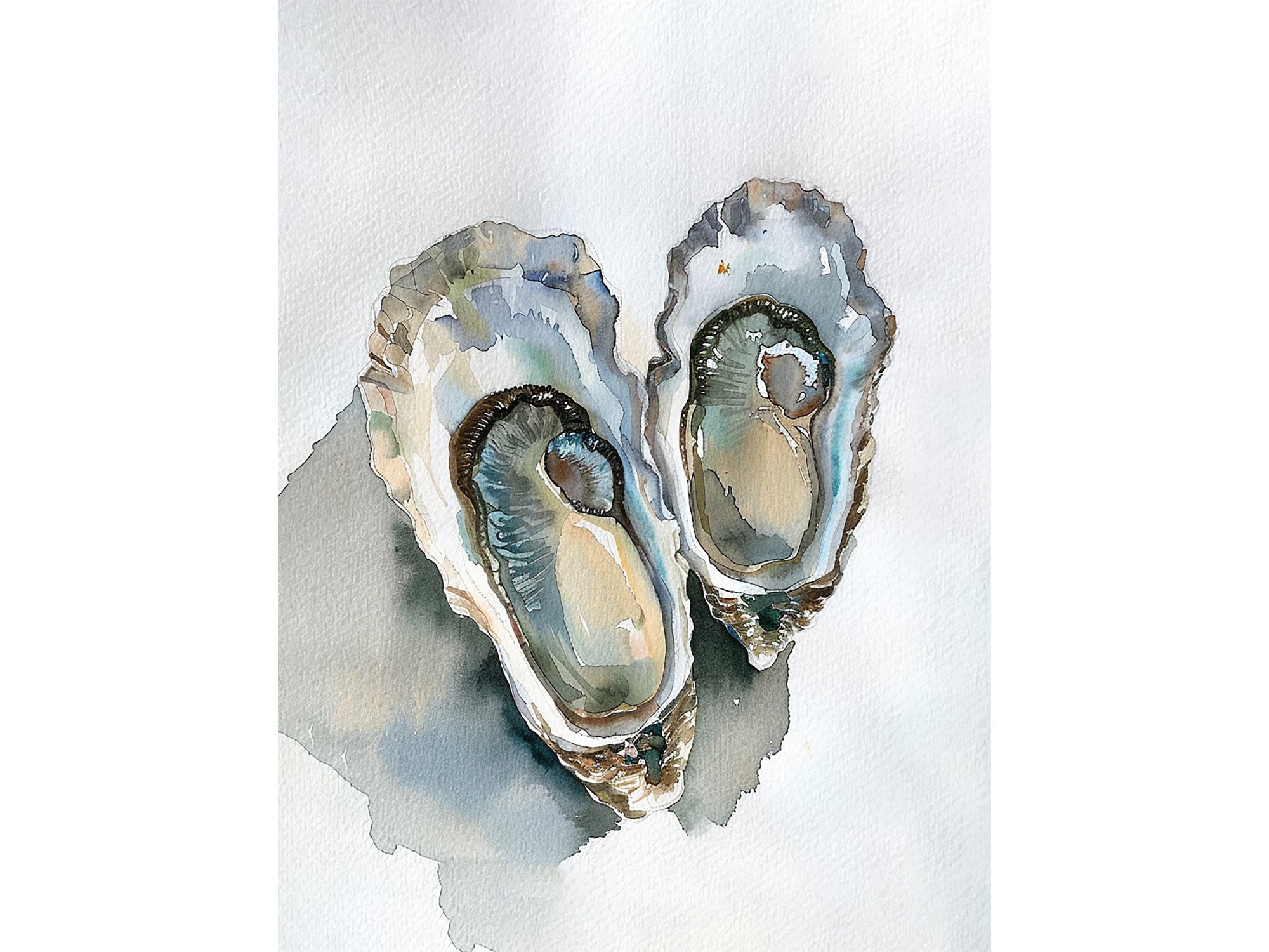 牡蠣の絵 2つの牡蠣の殻 水彩画 アートプリント 沿岸装飾 アースカラー