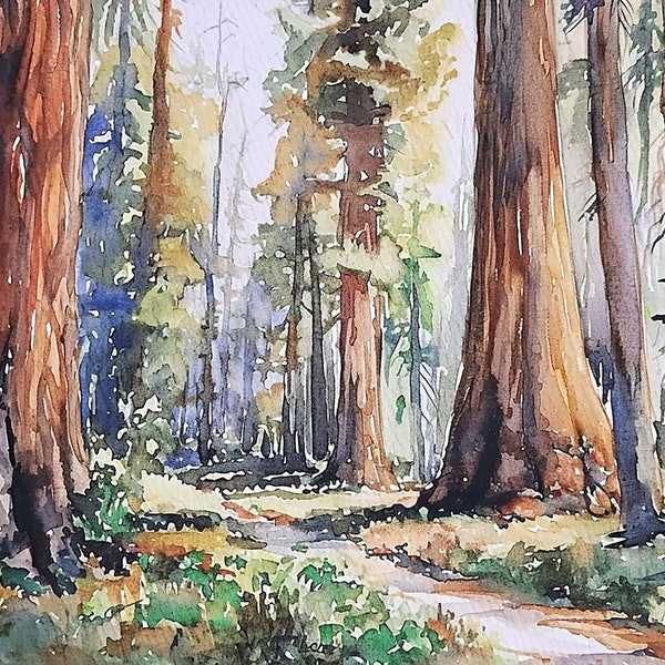 Sequoia National Park Print Evergreen Forest Wall Art Print Californië Bomen Aquarel Natuur Kunstwerk Wandelaar Cadeau