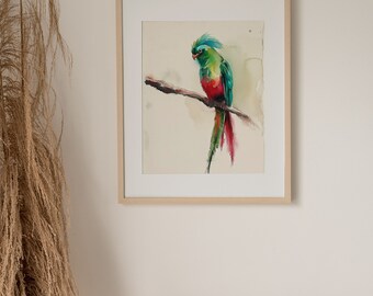 ケツァールの鳥の絵画 鳥の水彩画 アートプリント 赤 緑の鳥 壁アート