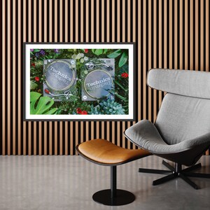 May include: Two black Technics turntables with white labels are surrounded by green leaves, red flowers, and succulents. The turntables are on a white surface. The image is framed in black.