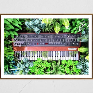 Peut inclure: Impression encadrée d'un synthétiseur vintage avec un boîtier en bois brun, entouré de verdure. Le clavier est noir et blanc. Le texte "prophet-r" est visible en bas à droite du synthétiseur.