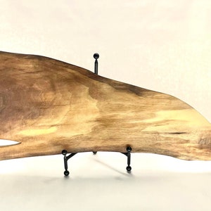 Beautiful Live Edge Sperm Whale