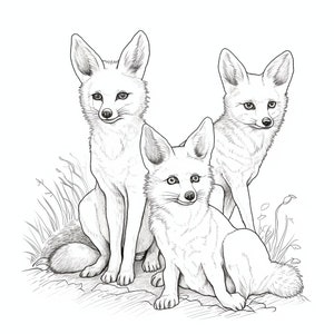 Digital Download: 151 Adorable Furry Animal Coloring Pages - Printable PDF