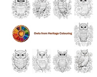 112 Detailed Owl Coloring Pages: Relaxing Designs (PDF Download)