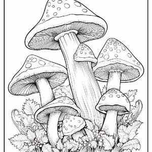 100 Printable Mushroom Coloring Pages PDF + Bonus: 150 JPG Files for Instant Download | Nature-Inspired Art Therapy | Digital Bundle Vol 2