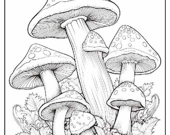Mushroom Coloring Pages: Nature-Inspired Art Therapy (PDF & JPG)
