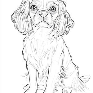 May include: A black and white line drawing of a Cavalier King Charles Spaniel puppy sitting with its ears perked up and looking directly at the viewer.