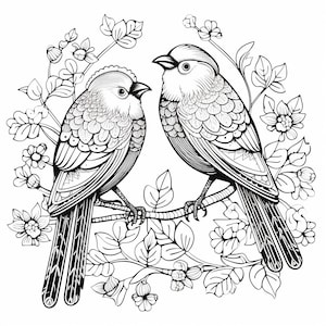 250 Beautiful Bird Designs - Printable PDF Coloring Book - Etsy