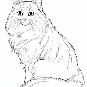 Puede incluir: Un dibujo en blanco y negro de un gato esponjoso sentado con la cola enroscada alrededor de su cuerpo. El gato tiene una expresi&oacute;n amigable con ojos grandes y una peque&ntilde;a sonrisa.