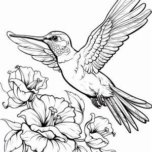 Puede incluir: Un dibujo en blanco y negro de un colibrí en vuelo con las alas extendidas. El colibrí está flotando cerca de tres flores de hibisco.