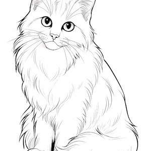 Puede incluir: Un dibujo de l&iacute;nea de un gato blanco y esponjoso sentado con la cola enroscada alrededor de sus patas. El gato tiene ojos grandes y redondos y una expresi&oacute;n dulce.