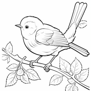 250 Beautiful Bird Designs - Printable PDF Coloring Book