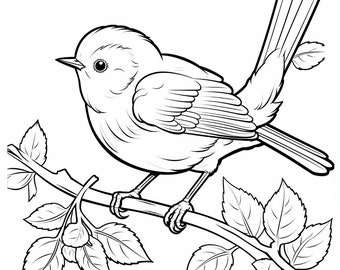 250 Beautiful Bird Designs - Printable PDF Coloring Book