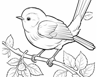 Libro para colorear con 250 diseños de aves: Arte aviar imprimible (PDF)