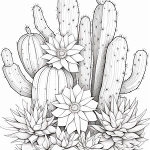 100 Cactus Flower Coloring Pages | PDF Download with Bonus JPG Images Included