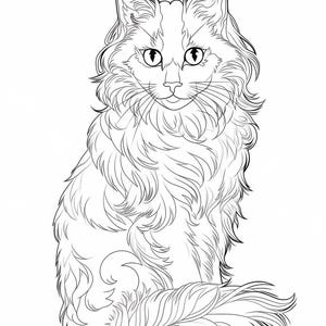 Puede incluir: Un dibujo en blanco y negro de un gato de pelo largo sentado con la cola enroscada alrededor de su cuerpo. El gato tiene ojos grandes y redondos y una expresi&oacute;n amigable.