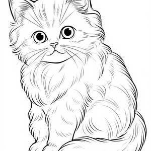 Puede incluir: Un dibujo en blanco y negro de un gato esponjoso sentado con la cola enroscada alrededor de su cuerpo. El gato tiene ojos grandes y redondos y una expresi&oacute;n dulce.