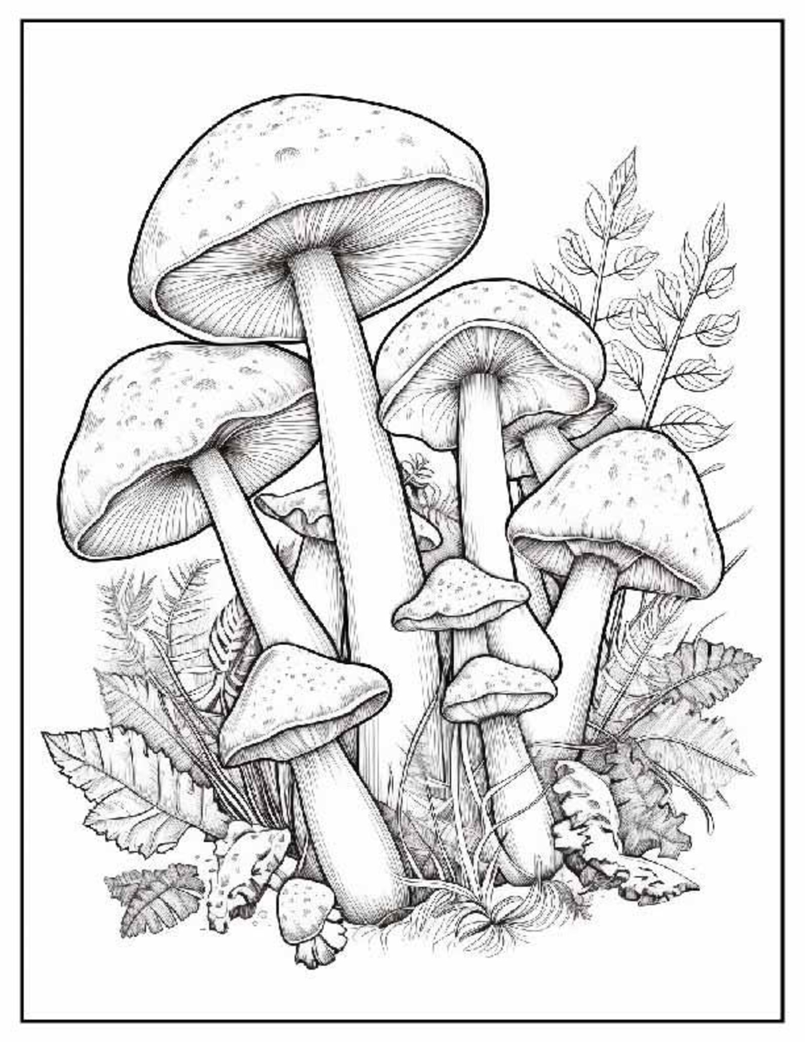 100 Printable Mushroom Coloring Pages PDF + Bonus: 150 JPG Files for ...