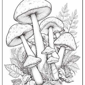 100 Printable Mushroom Coloring Pages PDF + Bonus: 150 JPG Files for Instant Download | Nature-Inspired Art Therapy | Digital Bundle Vol 1