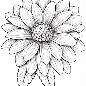 May include: A black and white line drawing of a single flower with multiple petals and leaves.