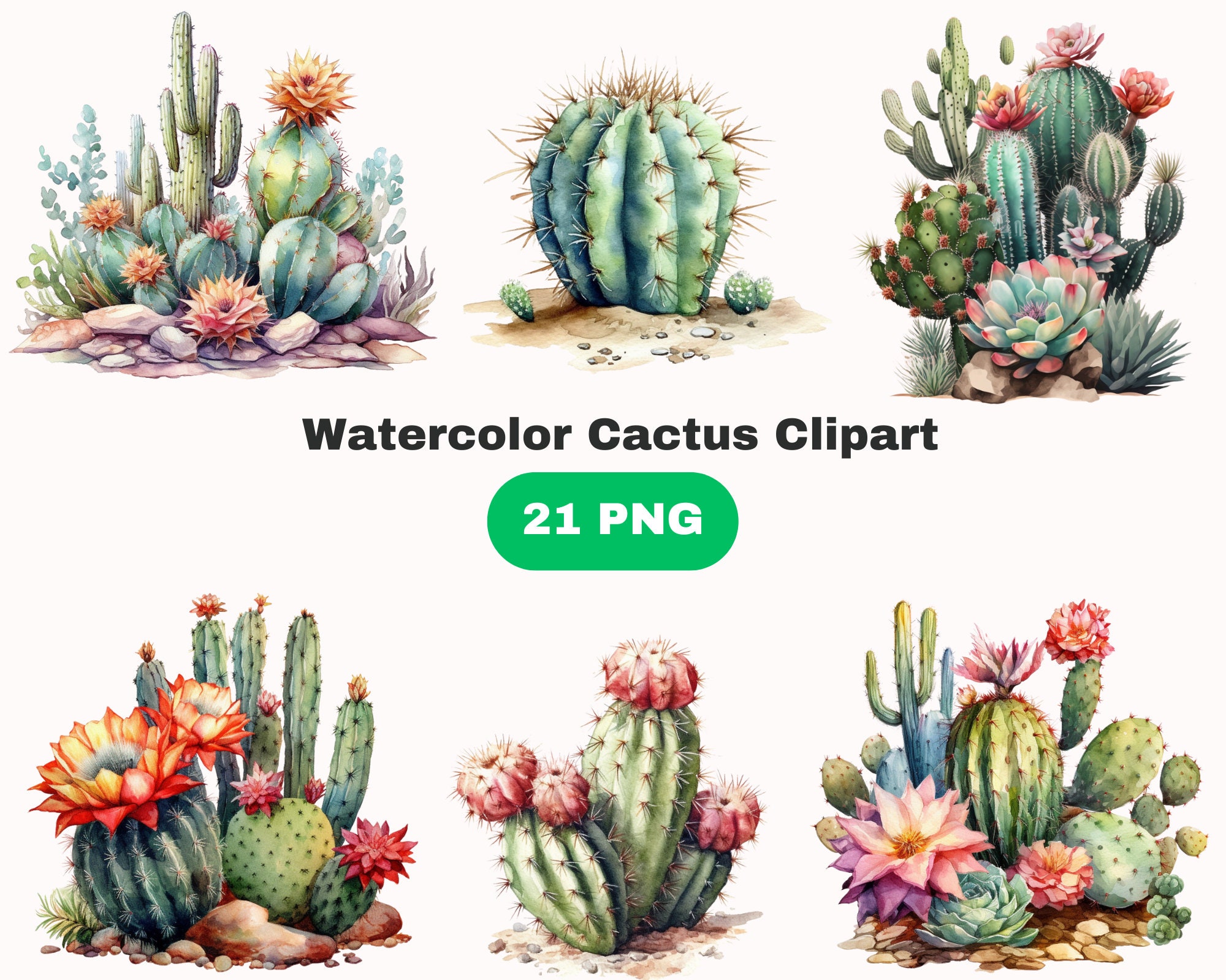 Cactus Transparent PNG Clip Art Image​