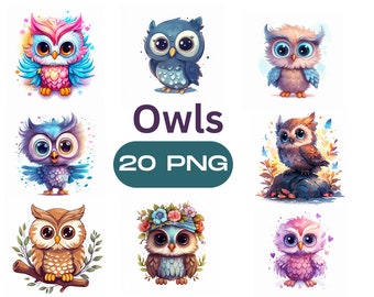 Colorful Cute Owl Clipart, Bundle Vibrant Colors, Owl Clipart PNG, Owl PNG Pack