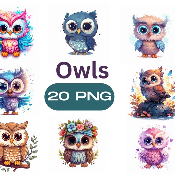 Colorful Cute Owl Clipart, Bundle Vibrant Colors, Owl Clipart PNG, Owl PNG Pack