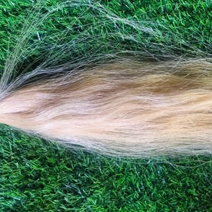 May include: A long, light blonde hair extension. The hair is soft and silky, and it is tied at the top with a string.