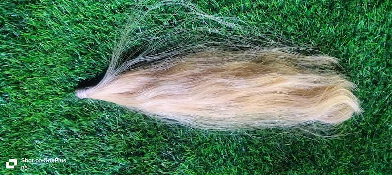 May include: A long, light blonde hair extension. The hair is soft and silky, and it is tied at the top with a string.