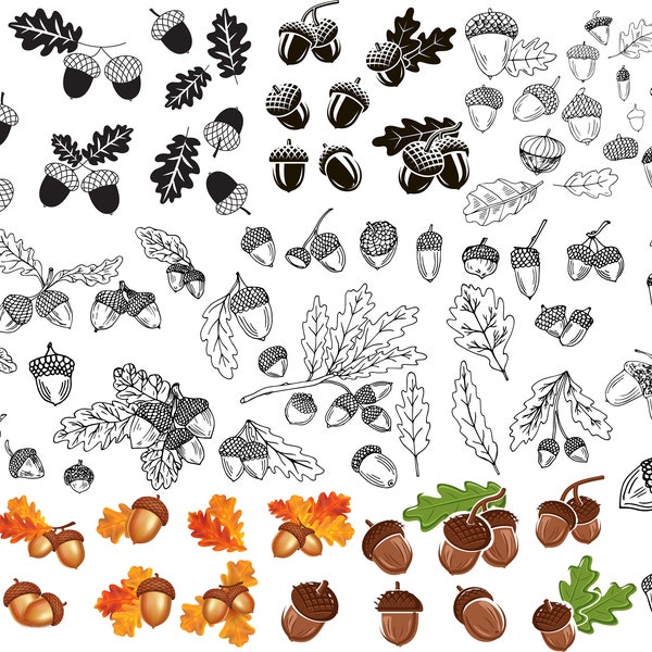 Acorn SVG Bundle, Acorn Clipart, Acorn SVG,Acorn Vector, Autumn Svg, Acorn Clipart, Acorn Files for Cricut